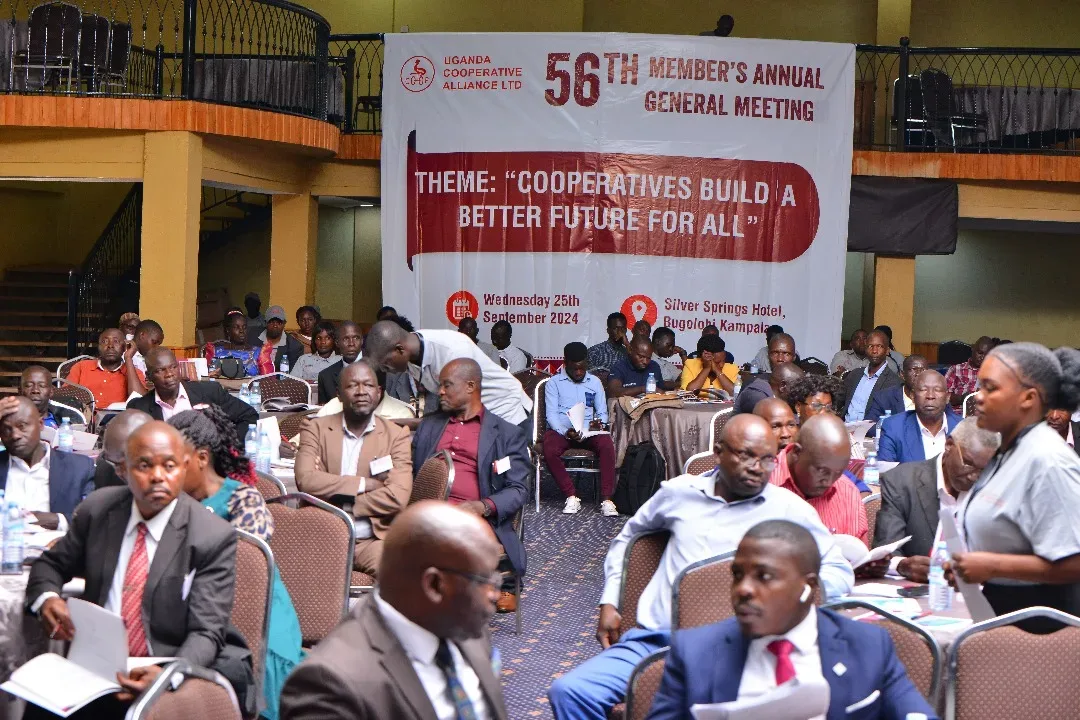 Why Cooperative Governance Matters in Islamic Finance